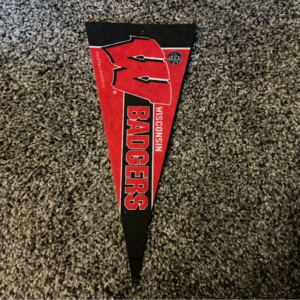 Wisconsin BADGERS 9" Mini Felt NCAA Pennant RICO TAG EXPRESS
